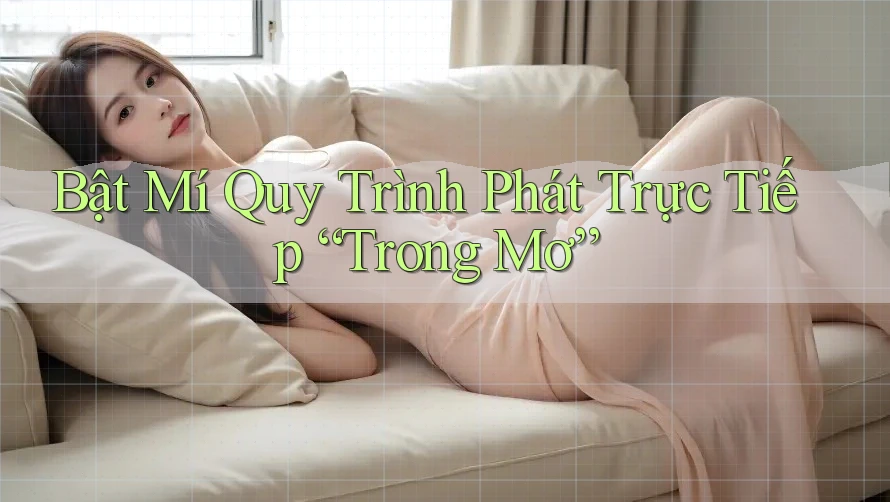 Bật Mí Quy Trình Phát Trực Tiếp “Trong Mơ”