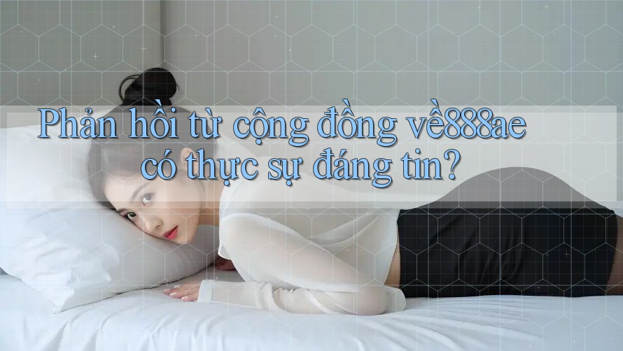 Phản hồi từ cộng đồng về888ae có thực sự đáng tin? Phản hồi từ cộng đồng về888ae có thực sự đáng tin?