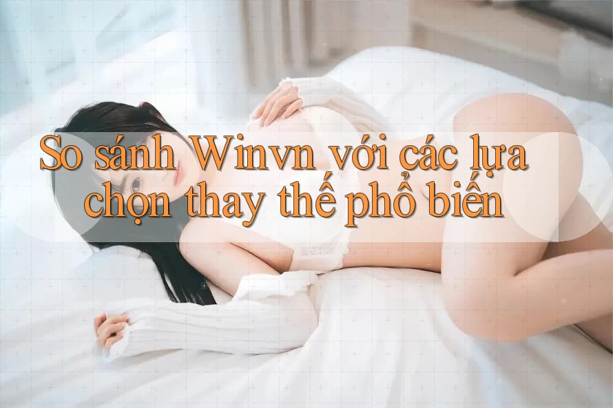 So sánh Winvn với các lựa chọn thay thế phổ biến So sánh Winvn với các lựa chọn thay thế phổ biến